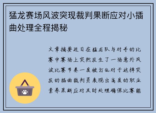 猛龙赛场风波突现裁判果断应对小插曲处理全程揭秘