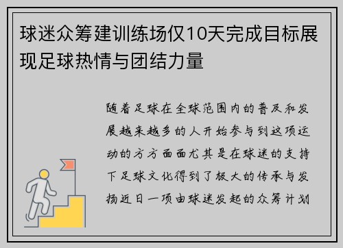 球迷众筹建训练场仅10天完成目标展现足球热情与团结力量
